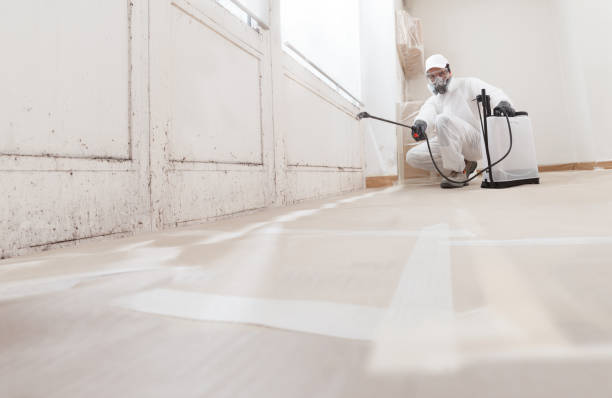 24/7 Emergency Mold Removal experts in Reading, PA
